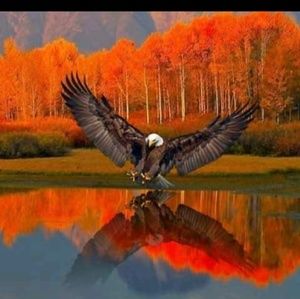 Meet your Posher, Jerry